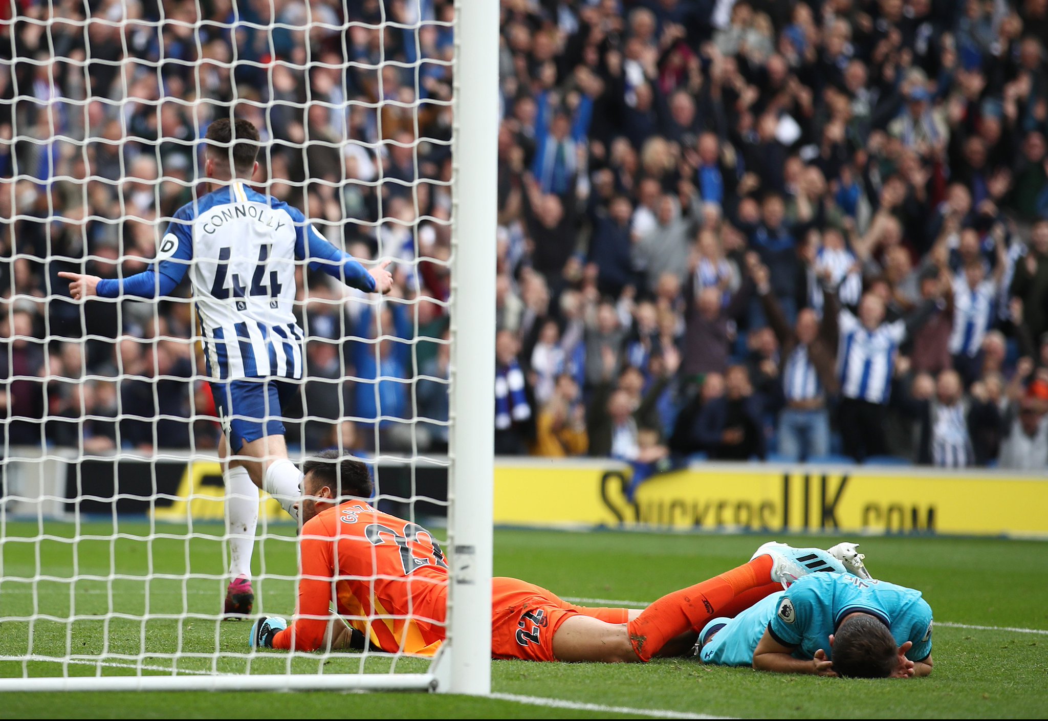 这次王博的 这次王博的